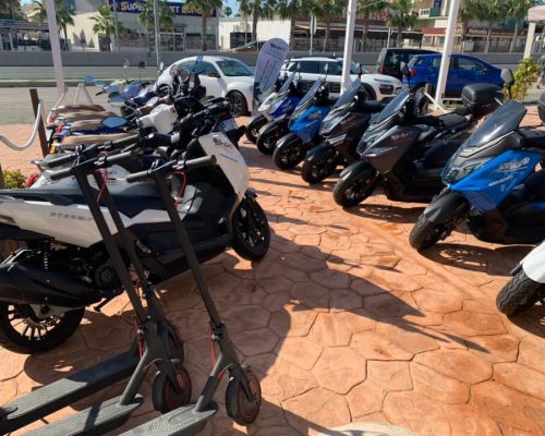 100630192_167690988110952_6243445833363095552_n